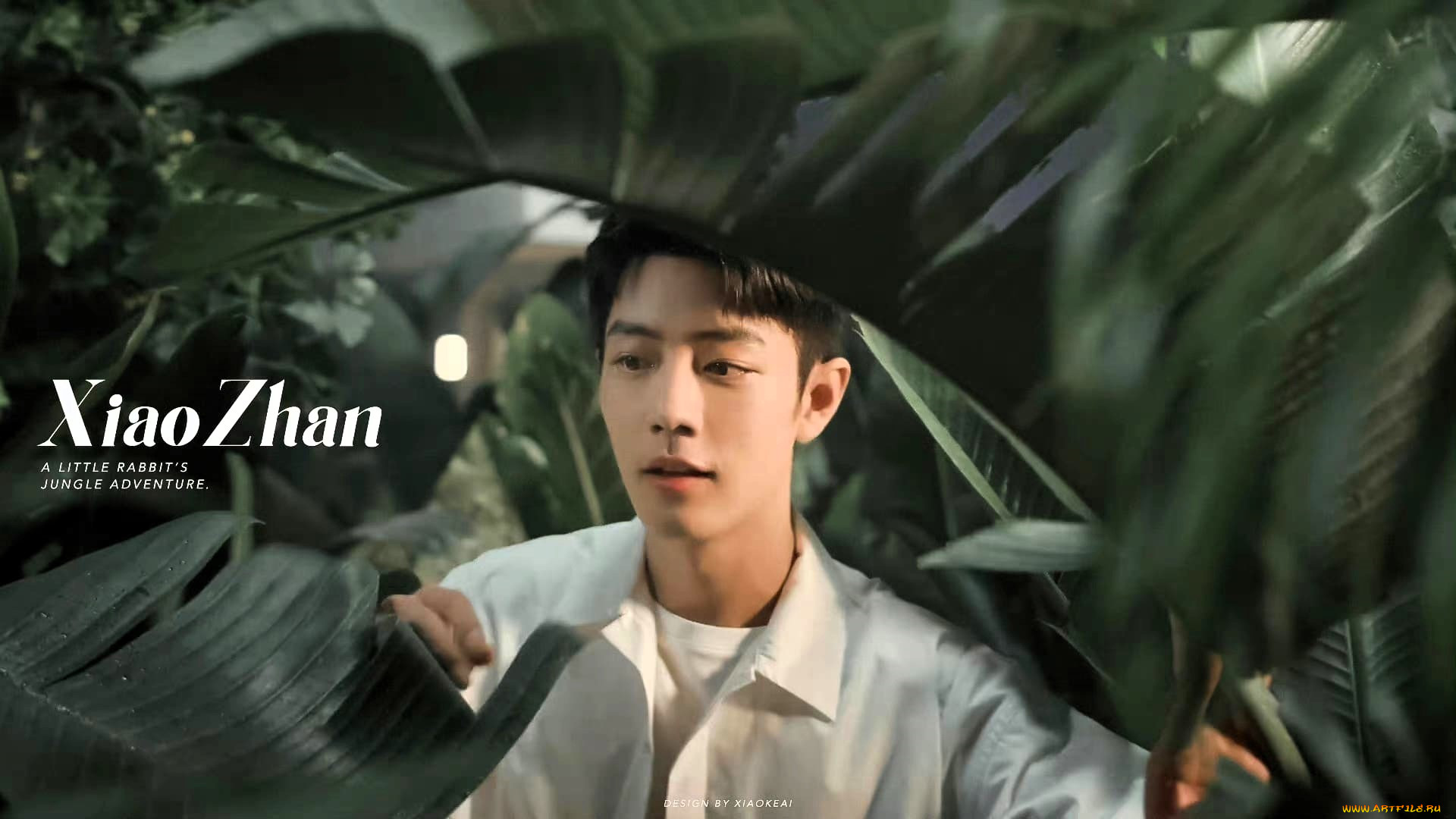 , xiao zhan, , , , 